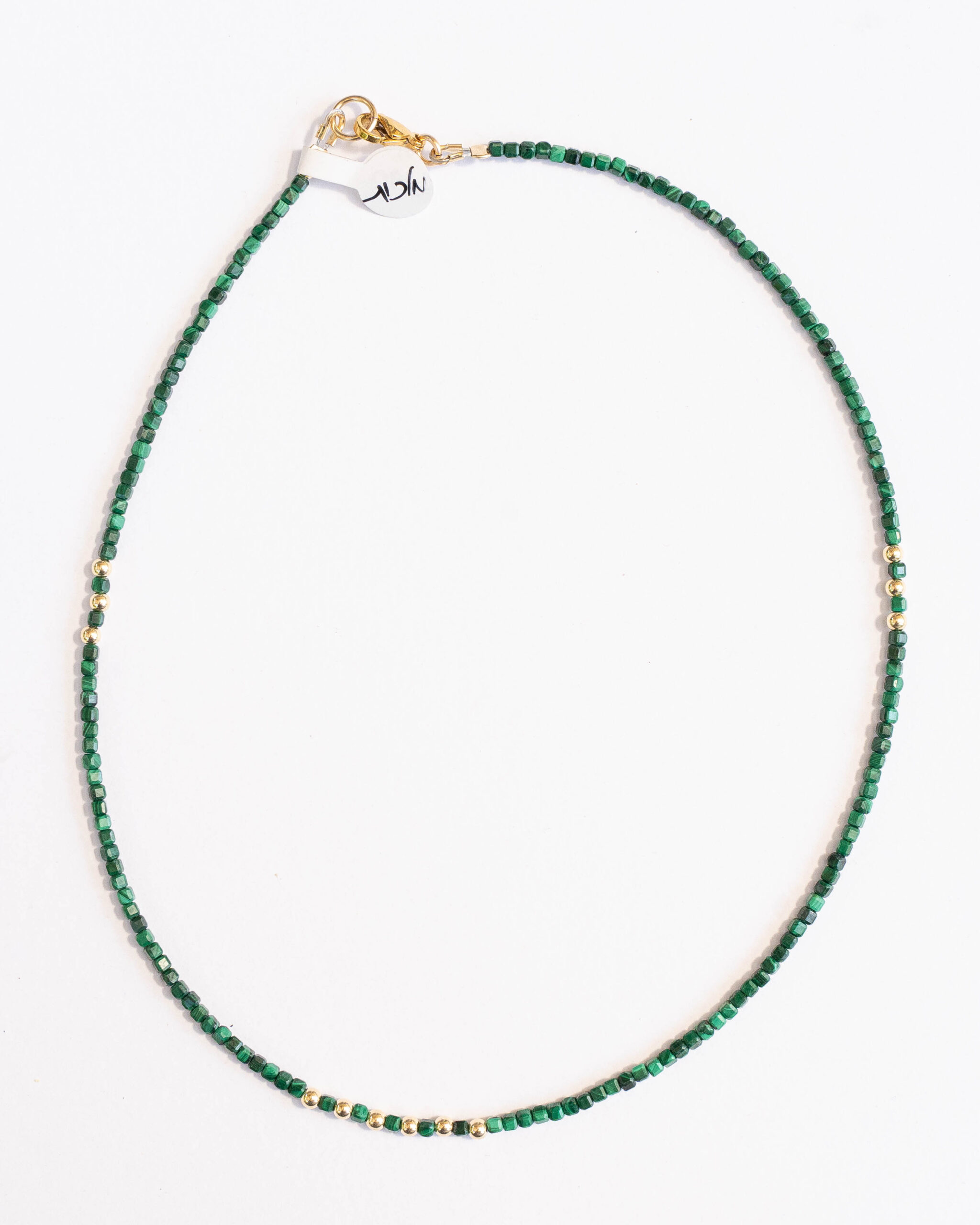 שרשרת מלכית – תמונה 2