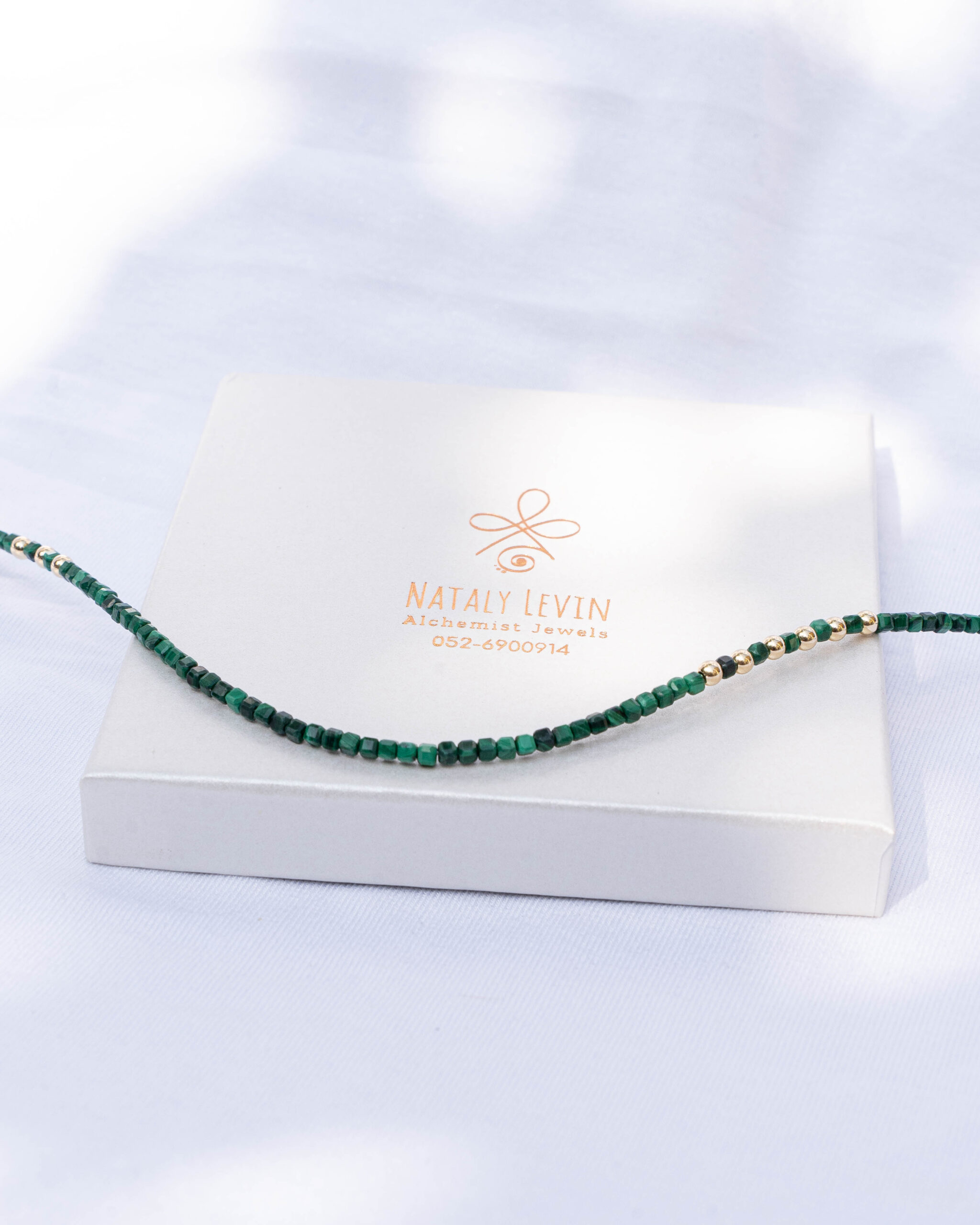 שרשרת מלכית – תמונה 3